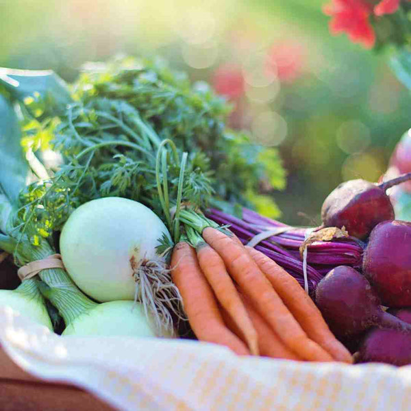 夏でも適切な塩分摂取を心掛けましょう