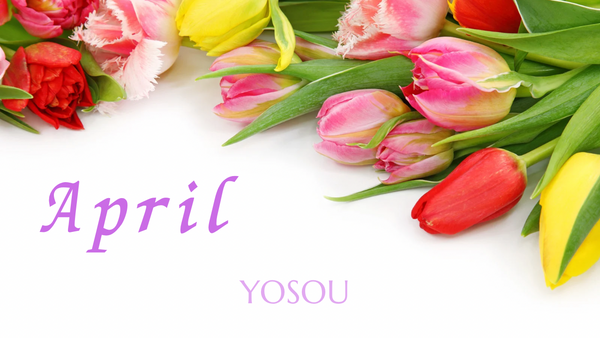 4月の過ごし方